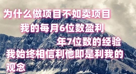 做项目不如卖项目，每月6位数盈利，年7位数经验-kk网创