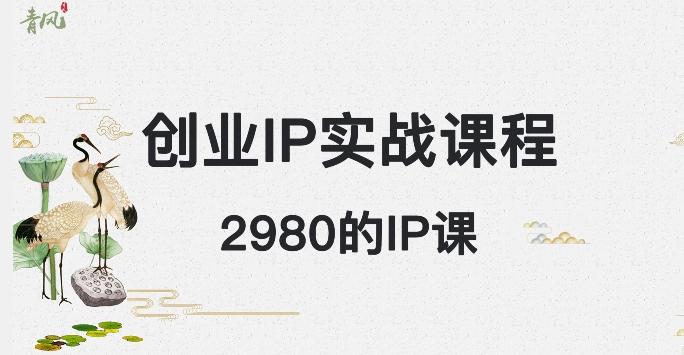 外边卖2980的创业IP课程，做私域月入5w+-kk网创
