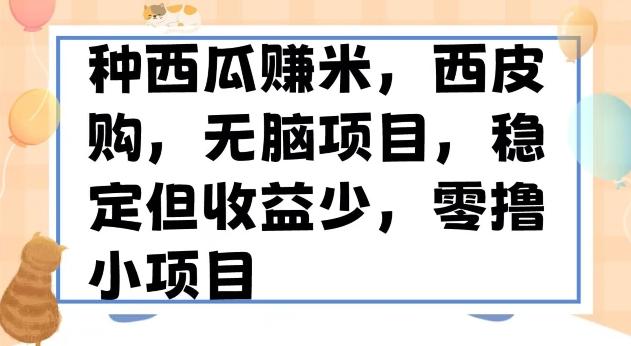 种西瓜赚米，西皮购稳定长久零撸小项目-kk网创