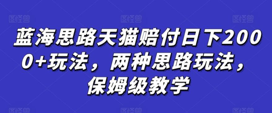 蓝海思路天猫赔付日下2000+玩法，两种思路玩法，保姆级教学【仅揭秘】-kk网创