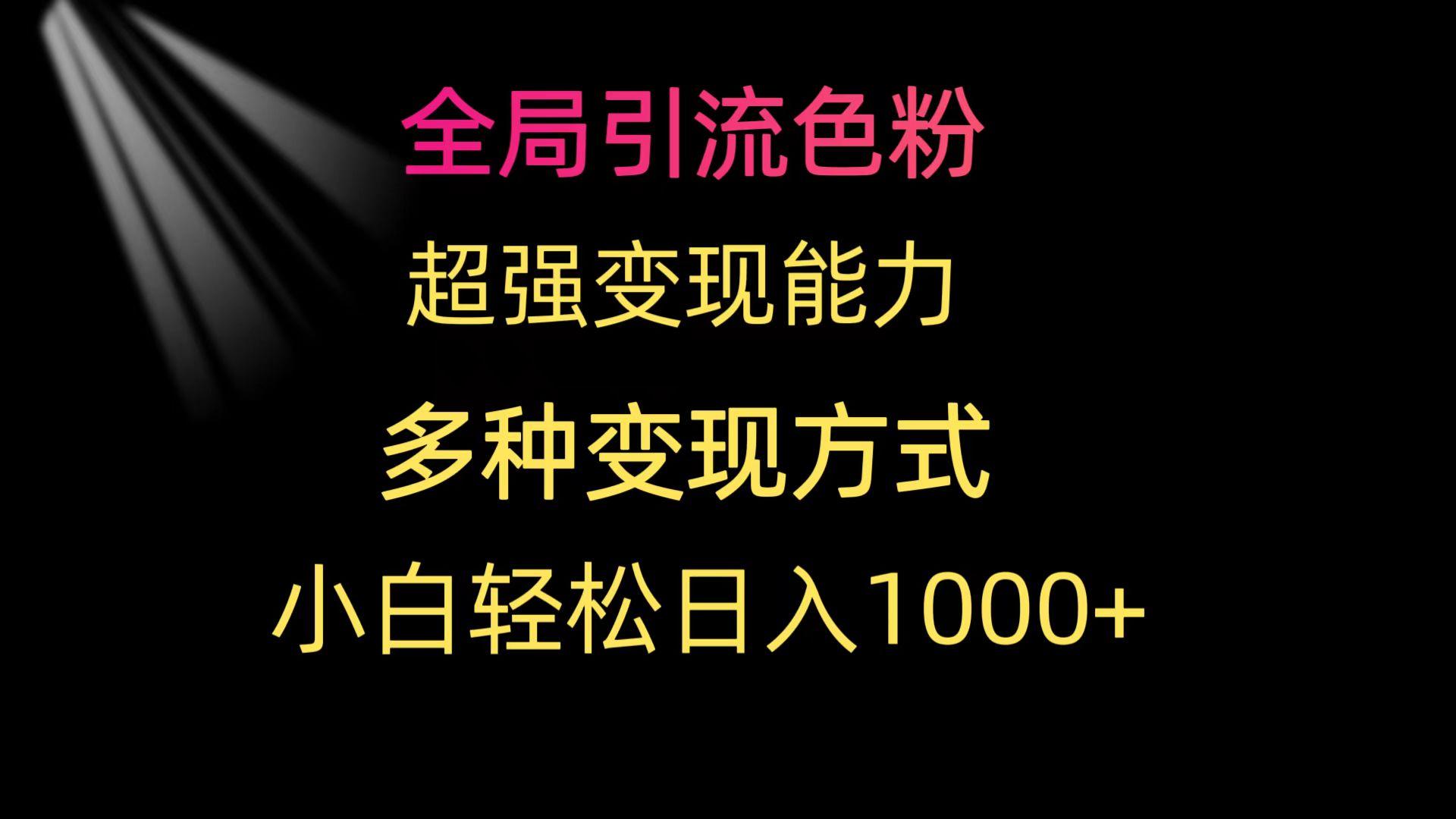 (9680期)全局引流色粉 超强变现能力 多种变现方式 小白轻松日入1000+-kk网创