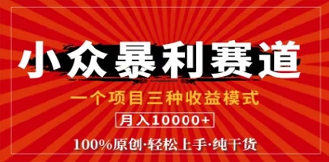 视频号最新爆火赛道，三种可收益模式，0粉新号条条原创条条热门 日入1000+-kk网创