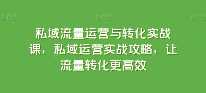 私域流量运营与转化实战课，私域运营实战攻略，让流量转化更高效-kk网创
