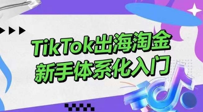 TikTok出海淘金，新手体系化入门，零基础快速入门，掌握短视频、直播带货等引流到变现的知识-kk网创