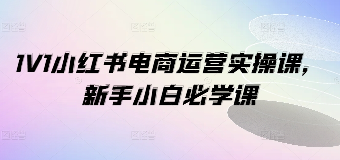 1V1小红书电商运营实操课，新手小白必学课-kk网创