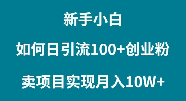 (9556期)新手小白如何通过卖项目实现月入10W+-kk网创
