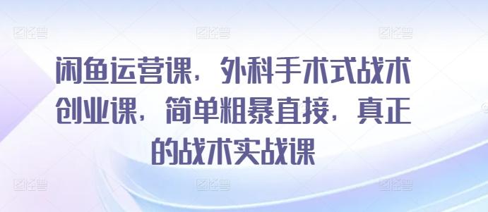 闲鱼运营课，外科手术式战术创业课，简单粗暴直接，真正的战术实战课-kk网创