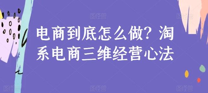 电商到底怎么做？淘系电商三维经营心法-kk网创