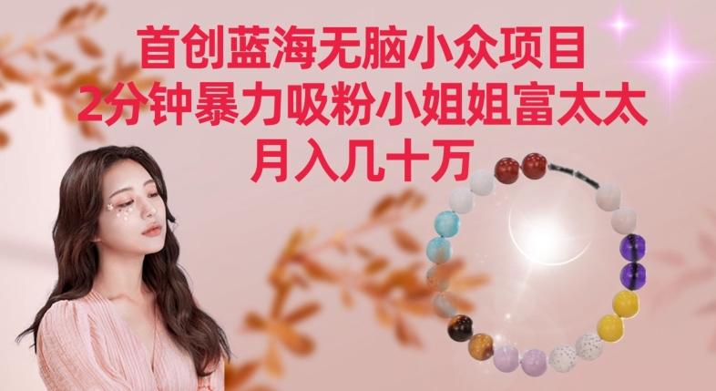 首创蓝海无脑小众项目，2分钟暴力吸粉小姐姐富太太，月入几十万【揭秘】-kk网创