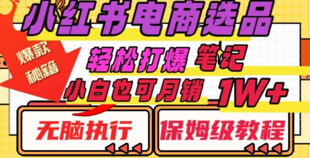 小红书电商爆款选品秘籍，帮你轻松打爆笔记，小白也可轻松月销10000+-kk网创