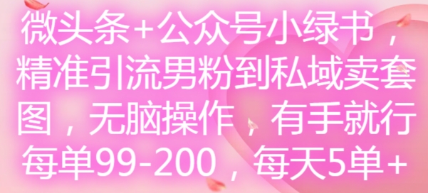 微头条+公众号小绿书，精准引流男粉到私域卖套图，无脑操作，有手就行，每单99-200，每天5单-kk网创