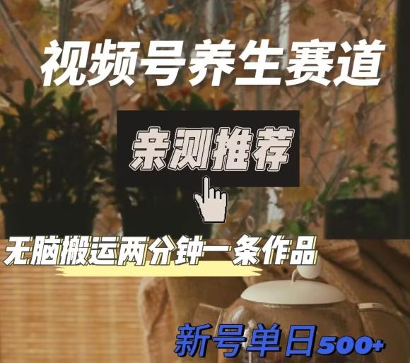 视频号养生赛道暴力掘金，无脑搬运，两分钟一条作品-新日单入500+-kk网创