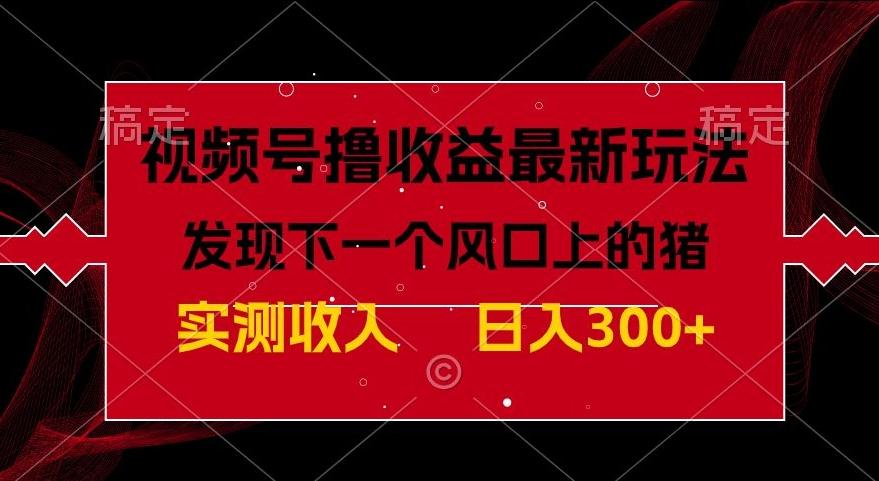 视频号分成计划最新玩法，单条作品几分钟制作完成,日入300+，过年前最后的冲刺-kk网创