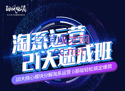 淘系运营21天速成班(更新24年6月)-kk网创