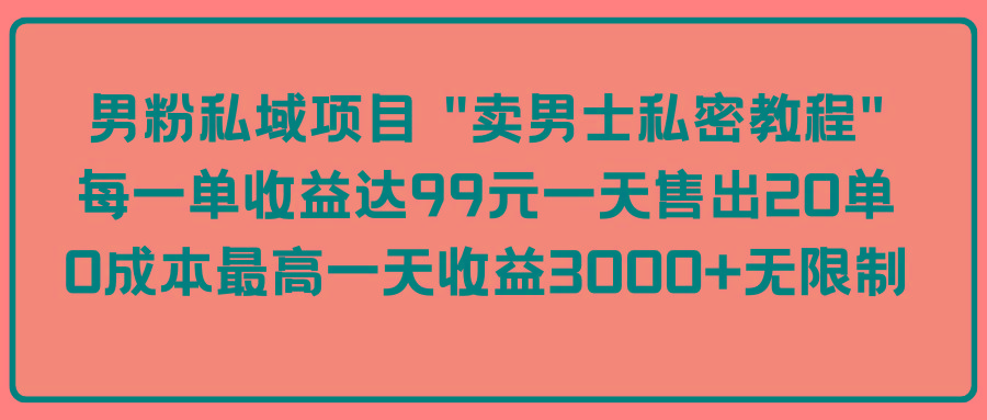 (9730期)男粉私域项目 “卖男士私密教程” 每一单收益达99元一天售出20单-kk网创