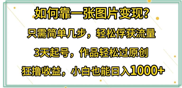 如何靠一张图片变现?只需简单几步，轻松俘获流量，3天起号，作品轻松过原创【揭秘】-kk网创