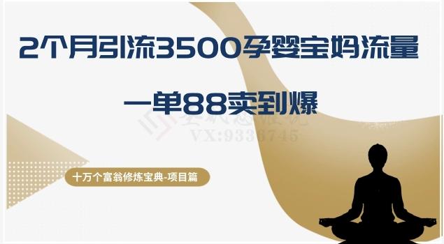 十万个富翁修炼宝典之13.2个月引流3500孕婴宝妈流量，一单88卖到爆-kk网创