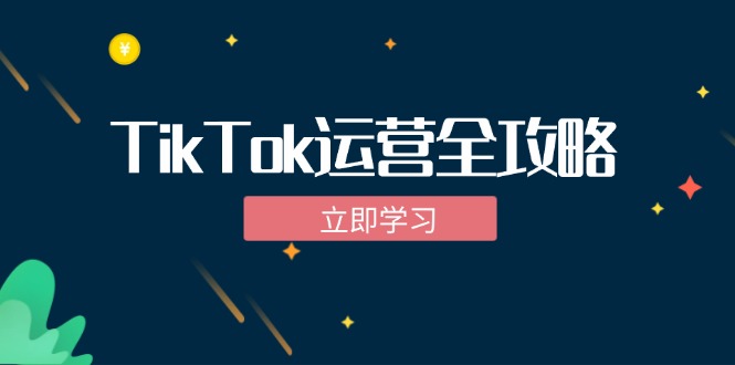 TikTok实战运营全攻略：从下载软件到变现，抖音海外版实操教程-kk网创