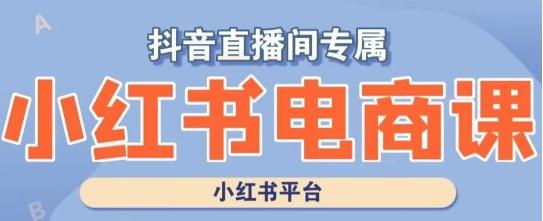小红书电商高级运营课程，实操教学+案例分析-kk网创